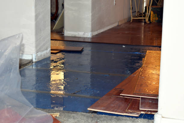 Professional Burst Pipe Cleanup technician working in Woodleaf, NC